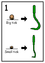 Tick Removal Device