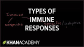 2._Types_of_immune_responses-Innate_and_adaptive,_humoral_vs._cell-mediated.jpg