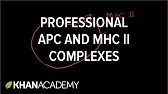 3._Professional_antigen_presenting_cells-(APC)_and_MHC_II_complexes.jpg