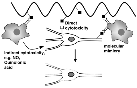  The name of referred object is mol14_3p0205f3.jpg